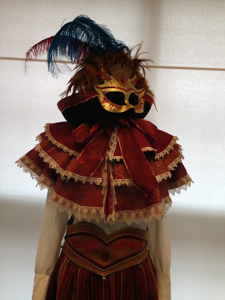 Gelaarsde Kat Carnavalskostuum